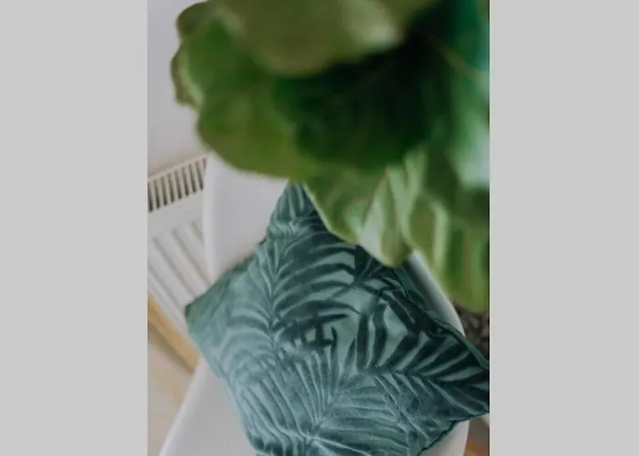 Never Ending Summer Villa *